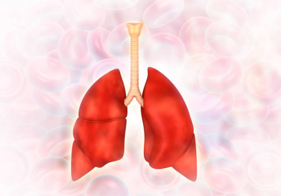Nhiễm độc phổi thì phải làm sao?