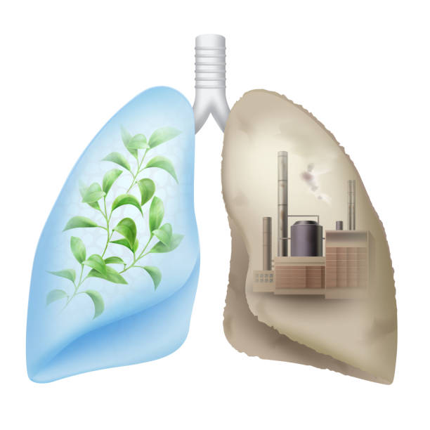 Cách lọc sạch phổi tại nhà đơn giản và hiệu quả