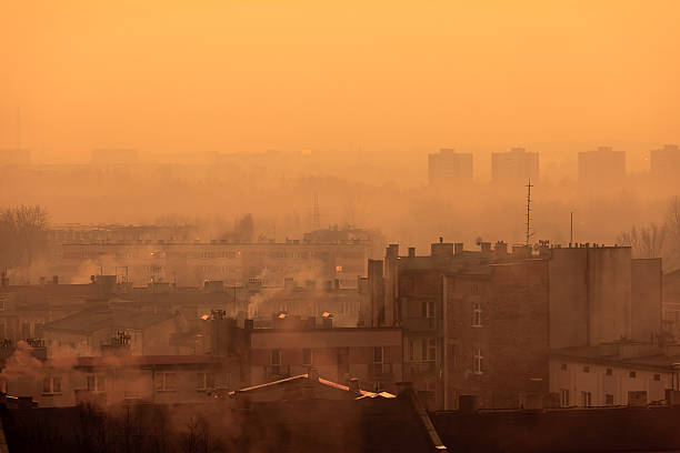 Thực trạng ô nhiễm không khí ở nước ta và bí quyết toàn diện giúp bảo vệ hai lá phổi