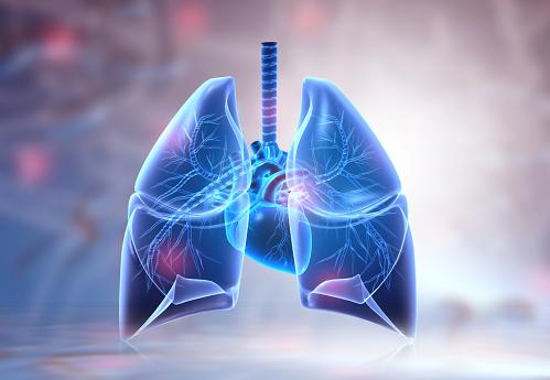 4 Thói quen xấu gây ảnh hưởng đến lá phổi bạn cần thay đổi