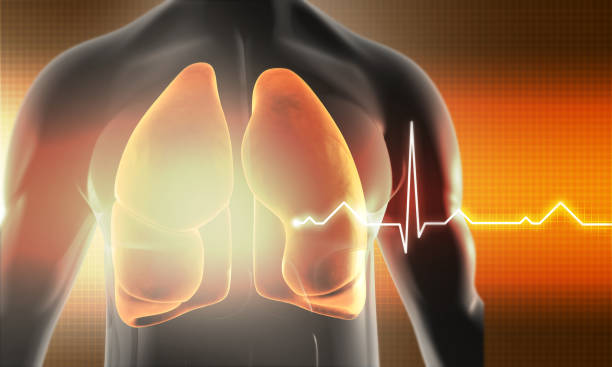 Cách tăng cường sức khỏe cho phổi đơn giản tại nhà
